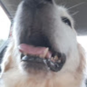 Meet your Posher, Brady